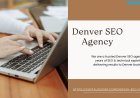 Driving Growth: Denver SEO Agency Builds Real Business Impact