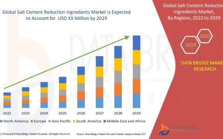Salt Content Reduction Ingredients Market Size, Current Status, and Outlook 2029