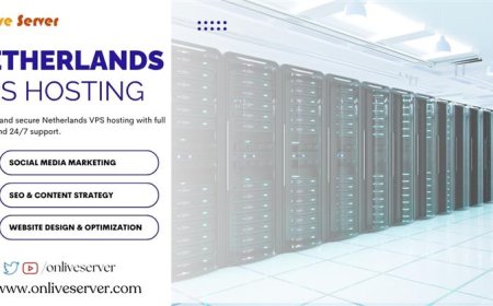 Onlive Server: Crafting Your Online Future with Netherlands VPS Hosting
