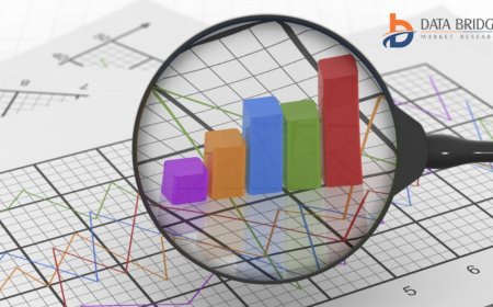 U.S. Potato Chips Market: Size, Share, and Future Growth 2024 –2031