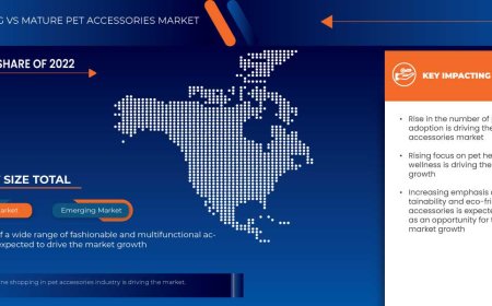 U.S. Pet Accessories Market: Size, Share, and Future Growth 2024 –2031