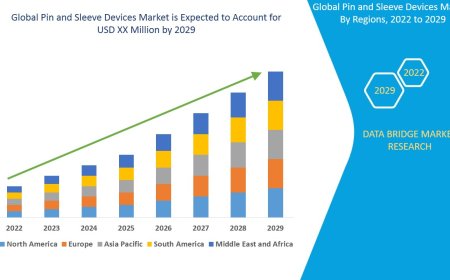 Pin and Sleeve Devices Market Business Status and Future Outlook Analysis 2029