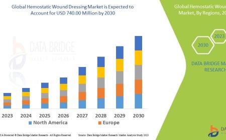 Hemostatic Wound Dressing Market Size, Share, and Growth Opportunities 2023 –2030