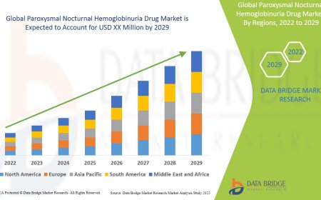 Paroxysmal Nocturnal Hemoglobinuria Drug Market Business Status and Future Outlook Analysis 2029