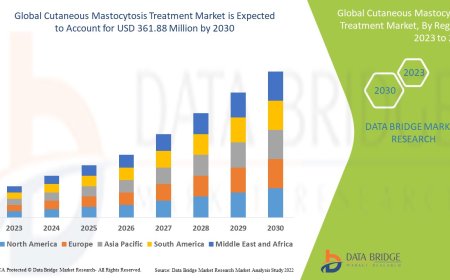 Cutaneous Mastocytosis Treatment Market: Size, Share, and Future Growth 2023 –2030