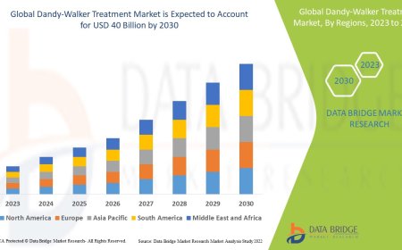 Dandy-Walker Treatment Market Size, Share, and Growth Opportunities 2023 –2030