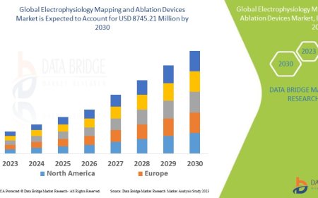 Electrophysiology Mapping and Ablation Devices Market: Trends, Analysis, and Competitive Landscape 2023 –2030