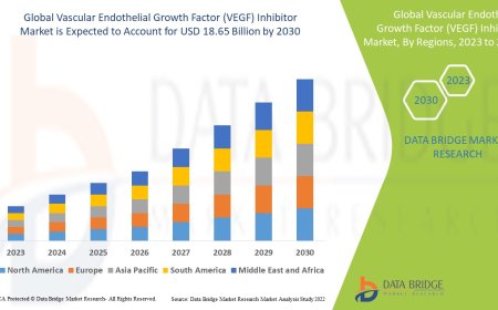 Vascular Endothelial Growth Factor (VEGF) Inhibitor Market: Size, Share, and Future Growth 2023 –2030