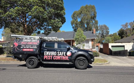 Say Goodbye to Pests: Expert Pest Control Services for a Safer Home
