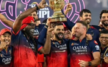 Emerging IPL 2025 Trends That Every Fan Should Know
