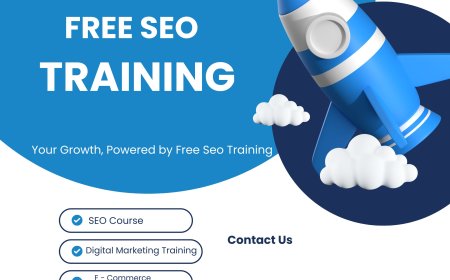 The Evolution of SEO Training: What You Can Learn Free