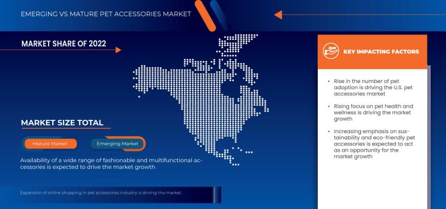 U.S. Pet Accessories Market: Size, Share, and Future Growth 2024 –2031