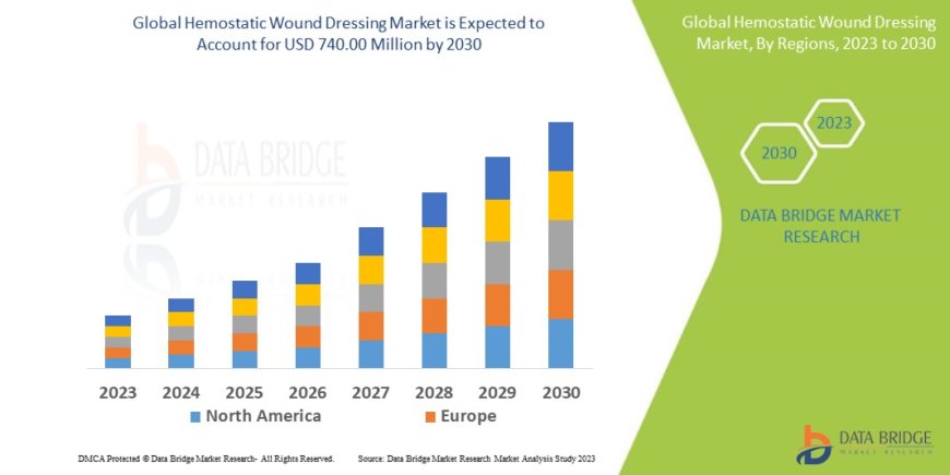 Hemostatic Wound Dressing Market Size, Share, and Growth Opportunities 2023 –2030