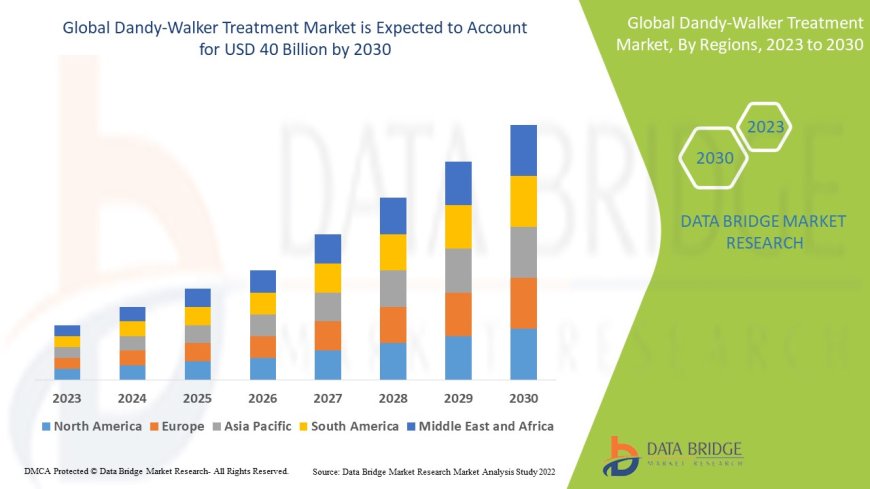 Dandy-Walker Treatment Market Size, Share, and Growth Opportunities 2023 –2030