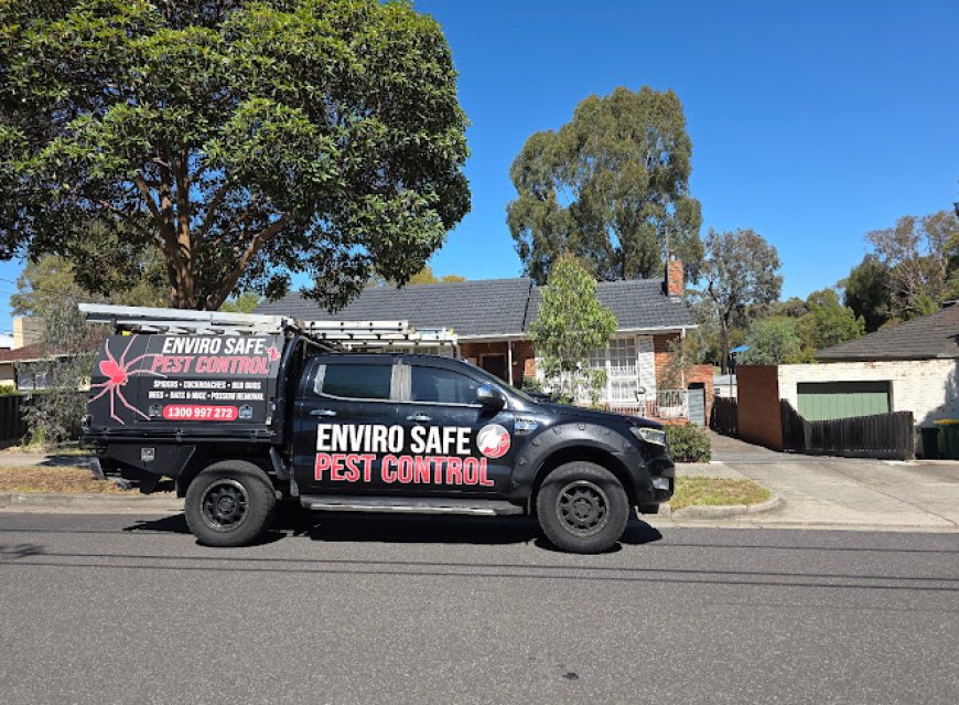 Say Goodbye to Pests: Expert Pest Control Services for a Safer Home
