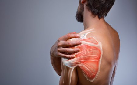 Shoulder Pain Treatment Dubai: How Physiotherapy Can Help You Heal