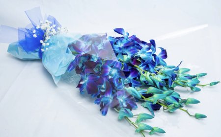 op 5 Reasons to Order Flowers Online in Strathmore and Nearby Suburbs