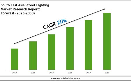 South East Asia Street Lighting Market Outlook 2030 Trends, Growth & Demand