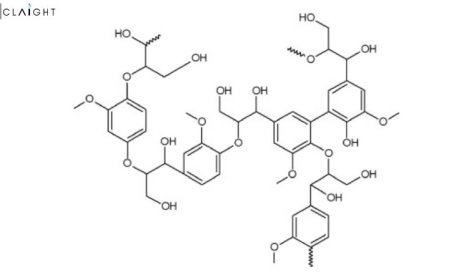 Lignin Market: Trends, Growth Opportunities & Forecast 2025-2034