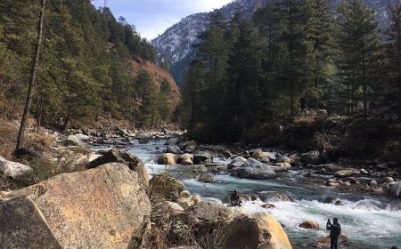 Explore Scenic Hills with Himachal Pradesh Tour Packages