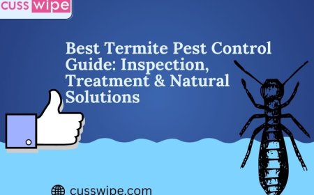 Best Termite Pest Control Guide: Inspection, Treatment & Natural Solutions