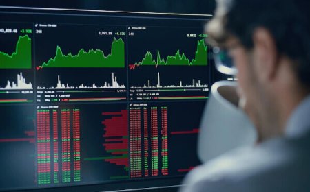 Stock Market Investment Guide: Learn Trading the Smart Way