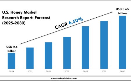 U.S. Honey Market Opportunities & Segment Outlook