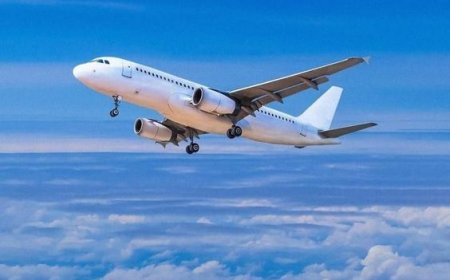 Which Terminal is Turkish Airlines at JFK