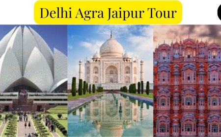 Delhi Agra Jaipur Tour: Iconic Forts, Palaces & Monuments