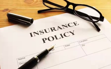 Insurance Policy Limit Lookup: Everything You Need to Know