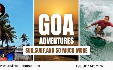 Goa Packages with Flight: Serene South Goa Retreats from Delhi