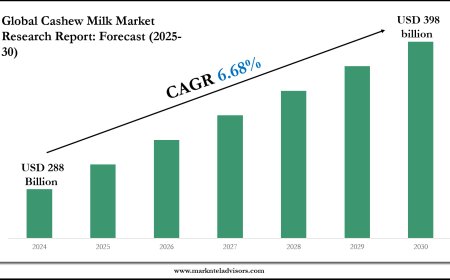 2025–2030 Cashew Milk Market Landscape: Growth, Share & Opportunities