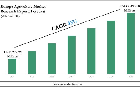 Exploring Europe Agrivoltaic Market Trends: Growth Outlook to 2030