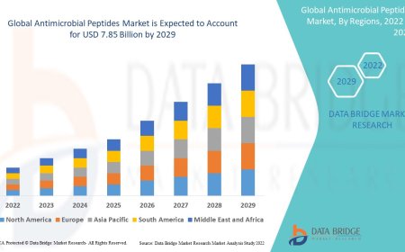 Rising Antibiotic Resistance Drives Growth in Antimicrobial Peptides Market