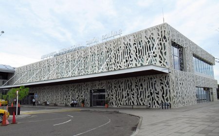 Flying Spirit Airlines from Las Vegas: What to Expect at Harry Reid International Airport Terminal