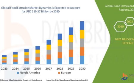 Food Extrusion Market Thrives Amid Rising Demand for Processed and Functional Foods