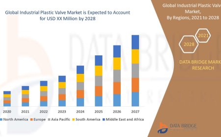 Industrial Plastic Valve Market Grows with Demand for Corrosion-Resistant Flow Solutions