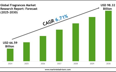 2025–2030 Fragrances Market Landscape: Growth, Share & Opportunities