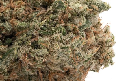 Legal Ways to Buy Weed Online Toronto