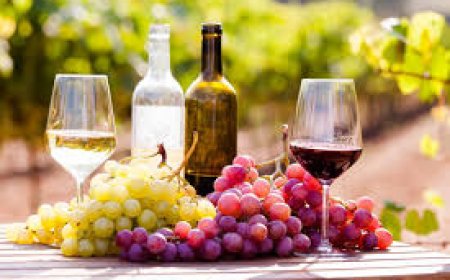 Discover the Perfect Wine Basket Gifts Under $50 – A Savvy Shopper’s Delight