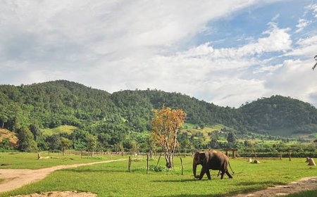 Top 10 Tourist Attractions in Thailand for an Unforgettable Getaway