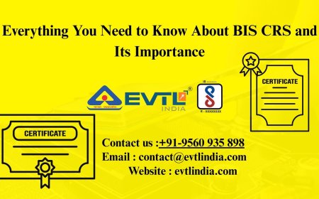 Everything You Need to Know About BIS CRS and Its Importance