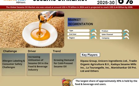 Sesame Oil Market Growth: Top Brands, Trends & Forecast