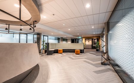 Primo Renovations Transforming Spaces with Expert Apartment, Home, and Office Renovations