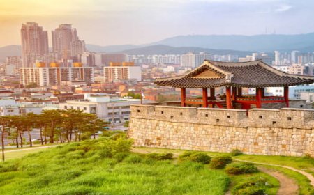 Top 10 Attractions to Explore in Korea with a Flexible Itinerary