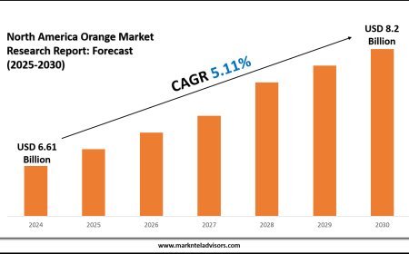 North America Orange Market Size Growth to USD 8.2 Billion by 2030