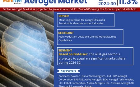 Aerogel Market Growth: Top Brands, Trends & Forecast