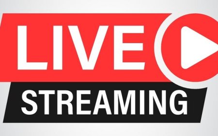 Top 5 Features of a Great Concert Live Stream Platform