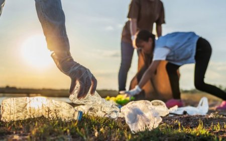 Private Bin Collection: Your Key to Stress-Free Waste Disposal
