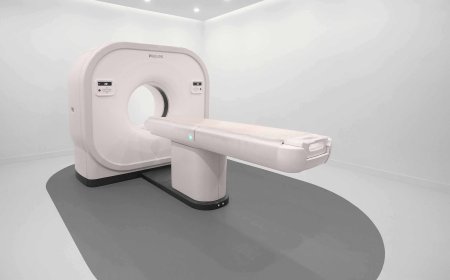 Understanding Health Insurance Options with Access Health Madison, CT